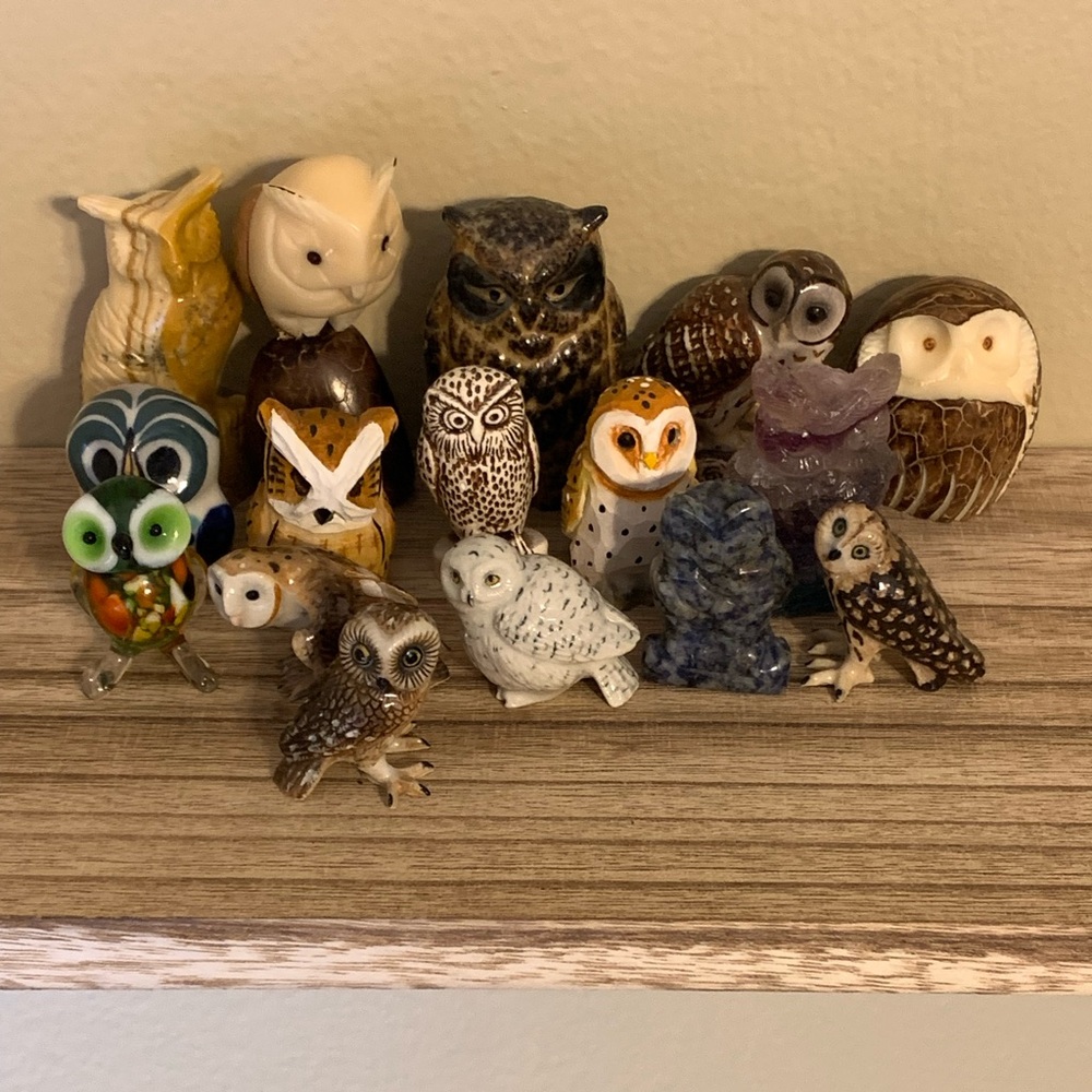Mini Owl Collection